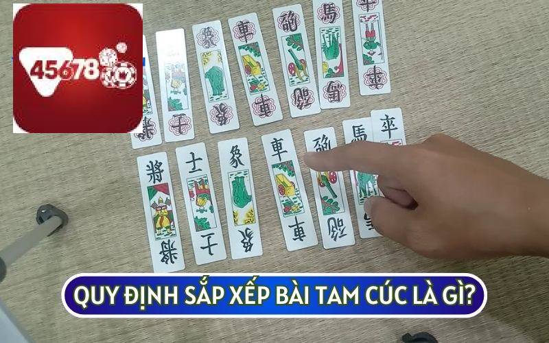 BÀI TAM CÚC LÀ GÌ