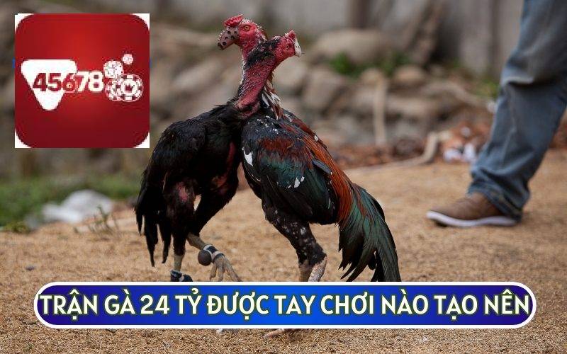 TRẬN GÀ 24 TỶ