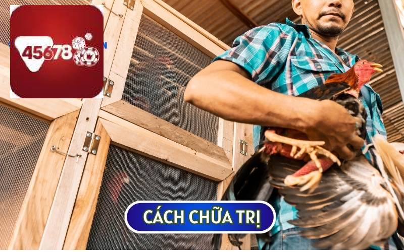 PHƯƠNG PHÁP CHỮA TRỊ GÀ BỊ SƯNG HẦU